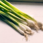 Scallions